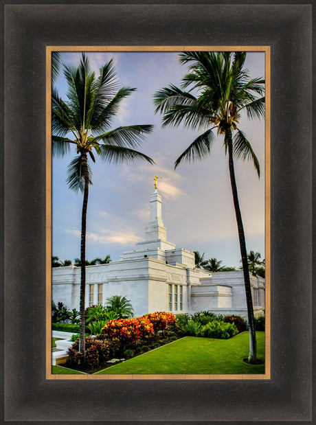 Kona Temple - Palm Trees