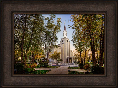 Boston Temple - Through the Trees