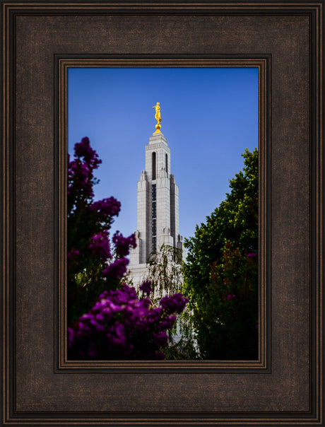 Redlands Temple - Spire