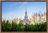 Twin Falls Temple - Harvest