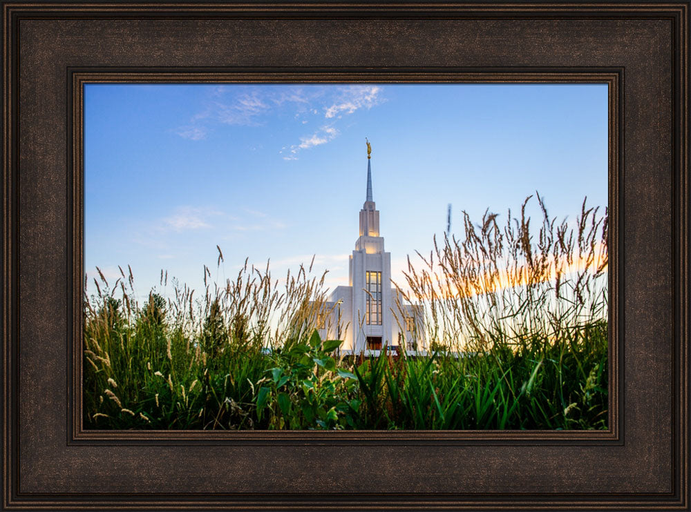 Twin Falls Temple - Harvest