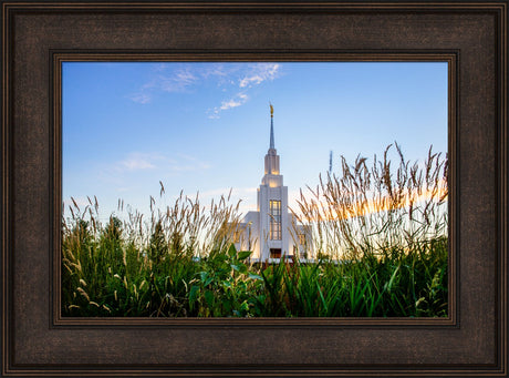 Twin Falls Temple - Harvest