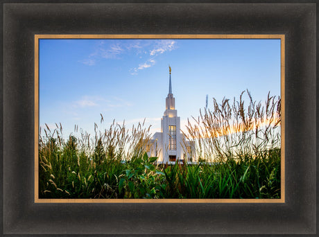 Twin Falls Temple - Harvest