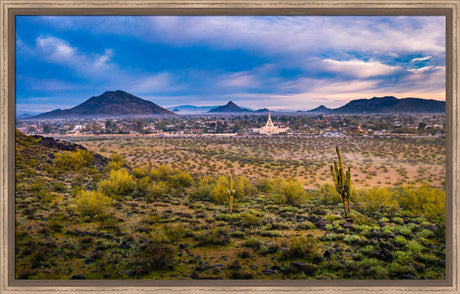 Phoenix Temple - Desert View