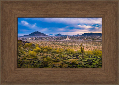 Phoenix Temple - Desert View