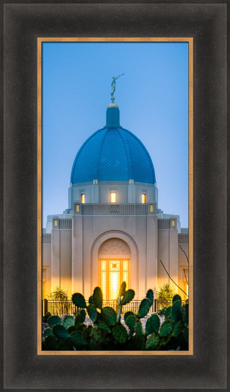 Tucson Temple - Cactus Twilight