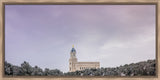 Cedar City Temple - Above the Trees Panorama