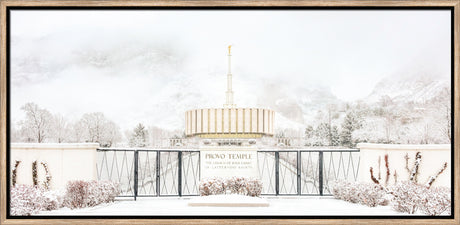 Provo Temple - Winter Beauty
