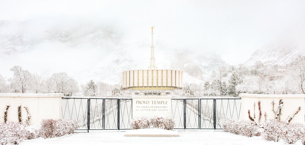 Provo Temple - Winter Beauty
