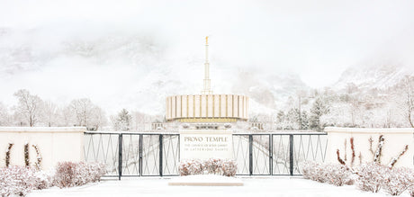 Provo Temple - Winter Beauty