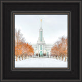 Mount Timpanogos Temple - First Snowstorm