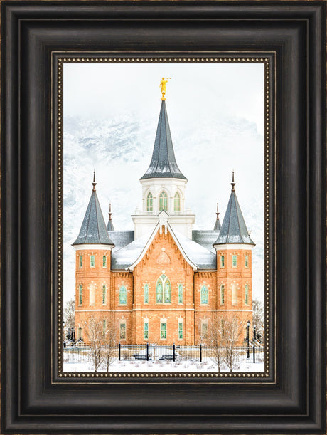 Provo City Center Temple - In January