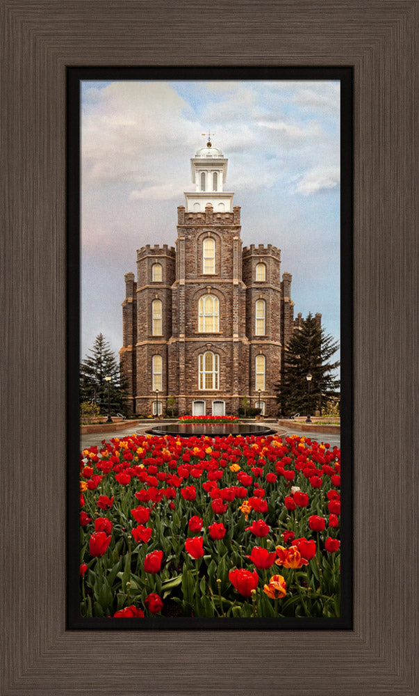 Logan Temple - Tulips
