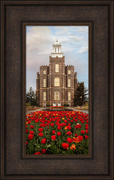 Logan Temple - Tulips