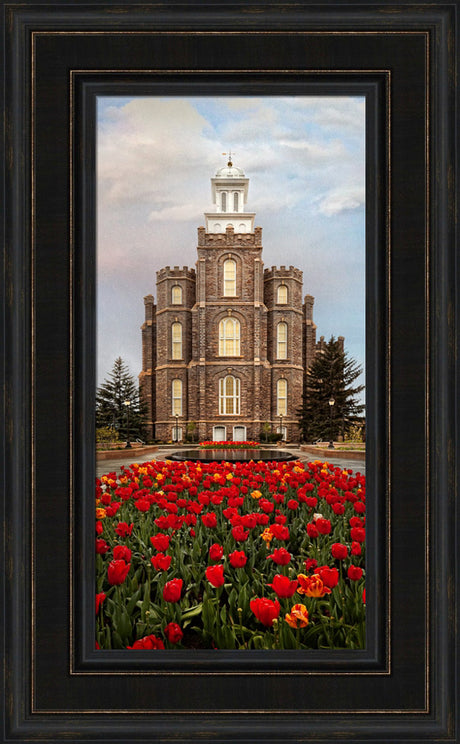 Logan Temple - Tulips
