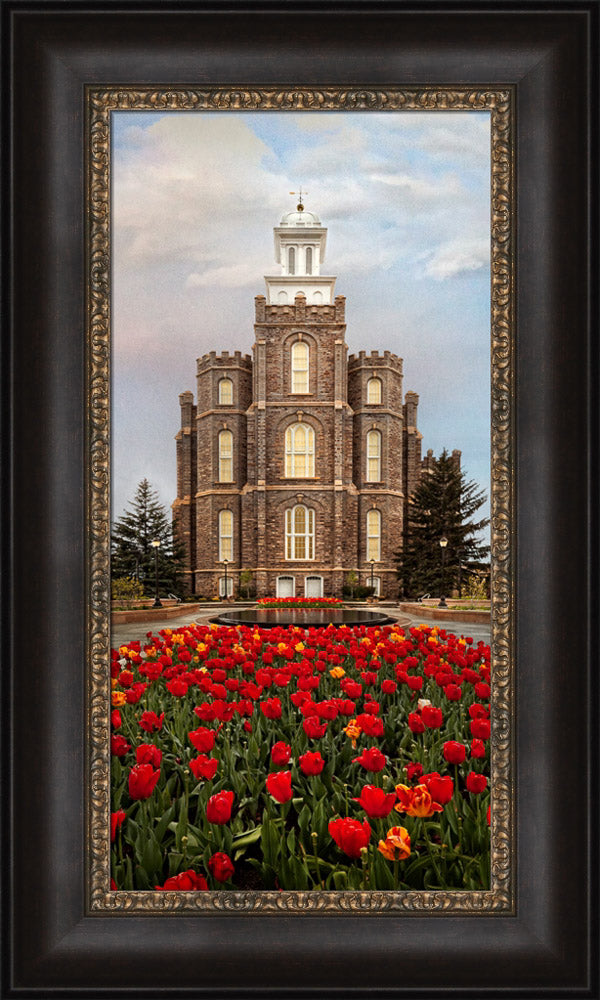 Logan Temple - Tulips