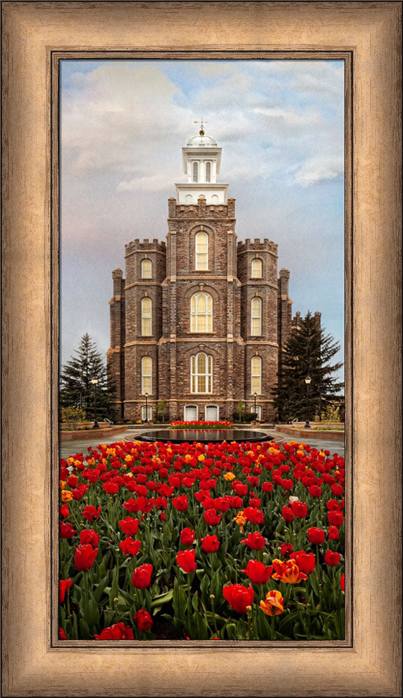 Logan Temple - Tulips