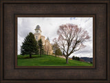 Manti Temple - Spring Hill