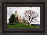 Manti Temple - Spring Hill