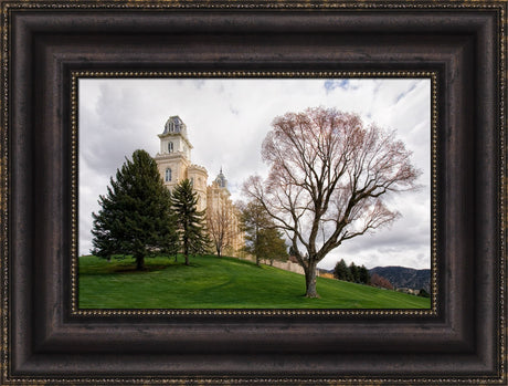 Manti Temple - Spring Hill