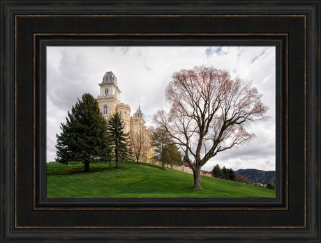 Manti Temple - Spring Hill