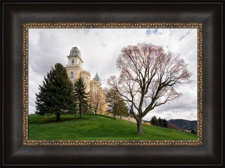 Manti Temple - Spring Hill