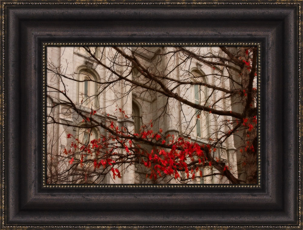 Salt Lake Temple - Amaranthine