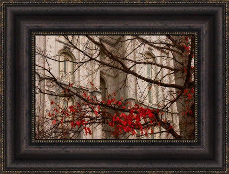 Salt Lake Temple - Amaranthine