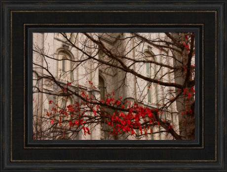 Salt Lake Temple - Amaranthine