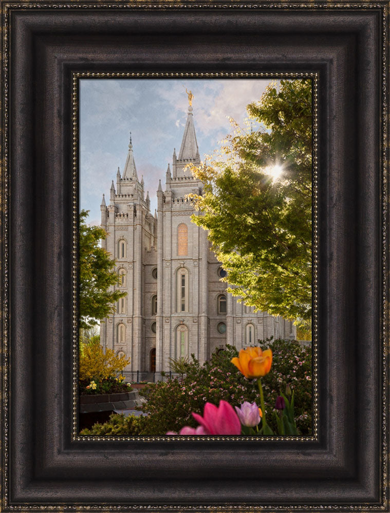 Salt Lake Temple - Springtime in Zion