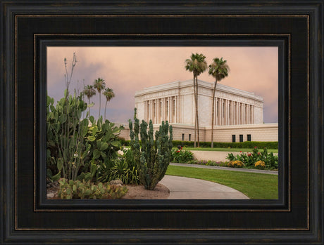 Mesa Temple - Cactus Path