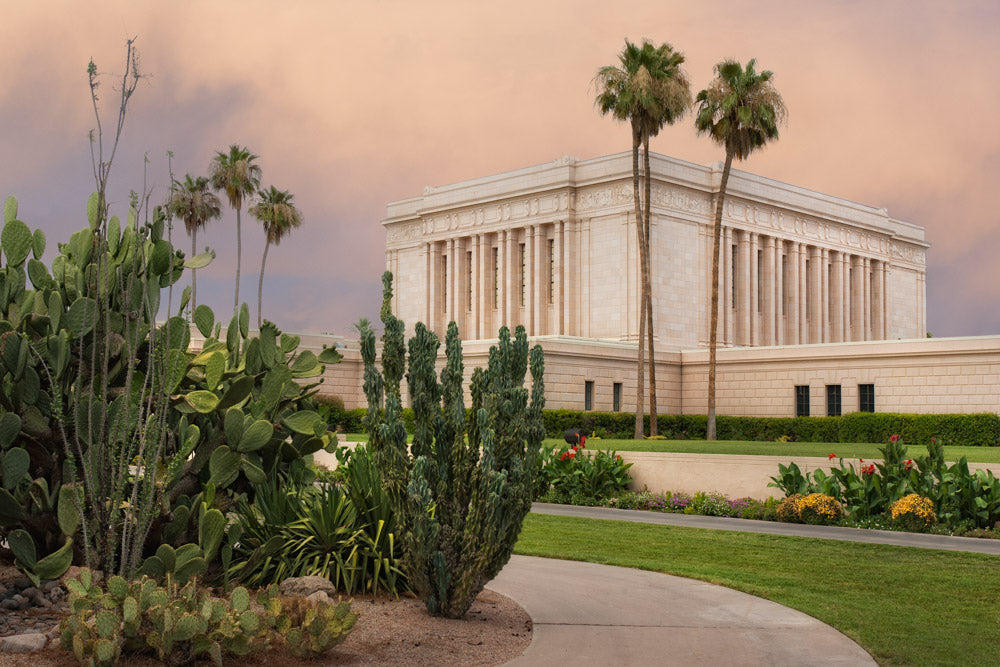 Mesa Temple - Cactus Path