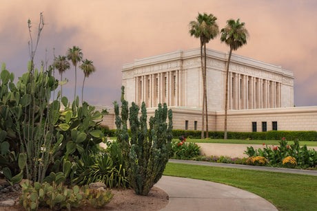 Mesa Temple - Cactus Path