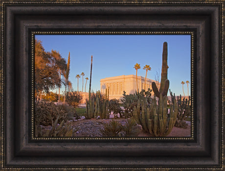 Mesa Temple - Cactus