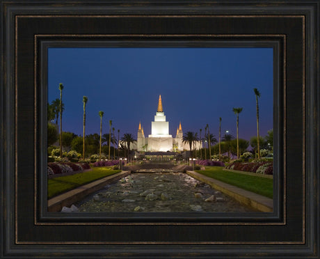 Oakland Temple - Night Stream