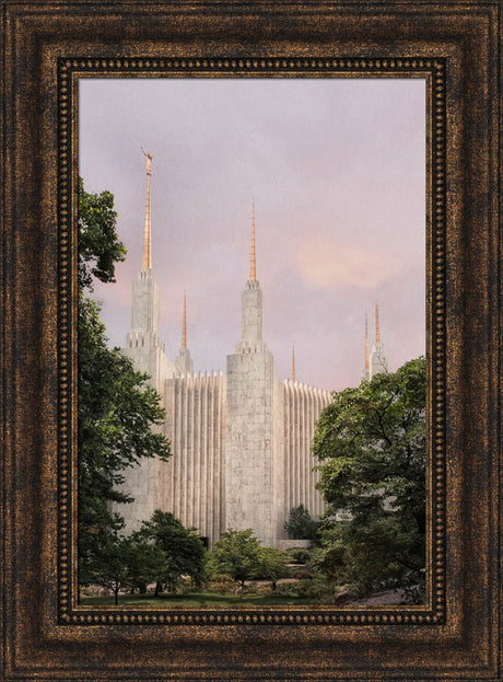 Washington DC Temple - Side Textured
