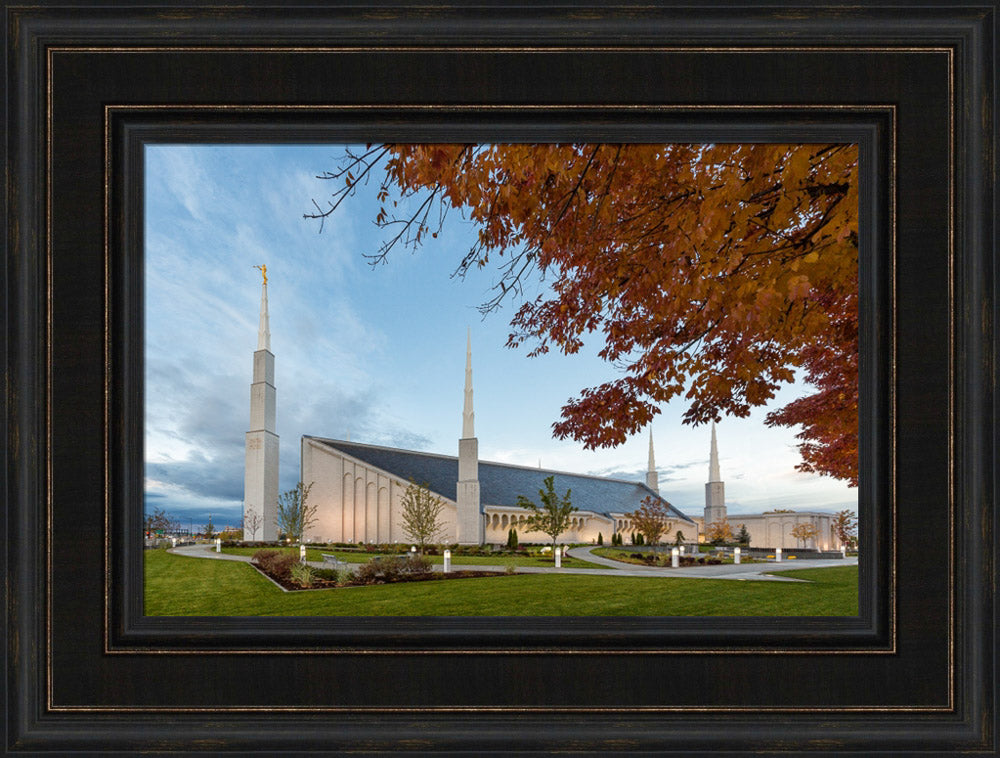 Boise Temple - Fall Trees