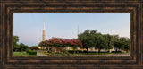 Dallas Temple - Panoramic Trees