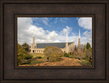 Johannesburg Temple - Trees