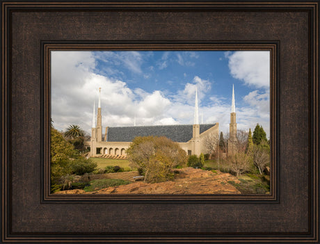 Johannesburg Temple - Trees