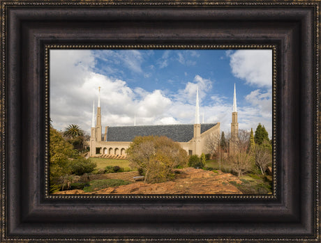Johannesburg Temple - Trees
