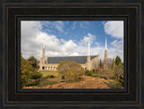 Johannesburg Temple - Trees