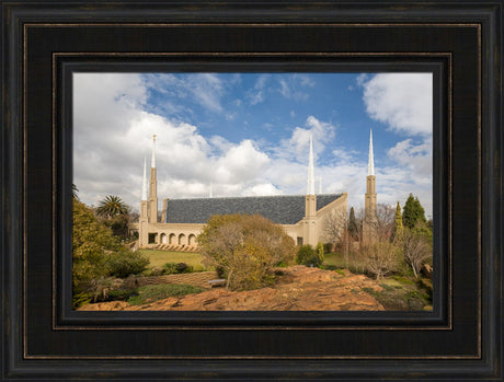 Johannesburg Temple - Trees