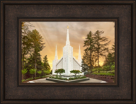 Portland Temple - Evening Glow