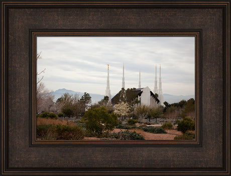 Las Vegas Temple - Desertscape
