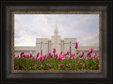 Bountiful Temple - Tulips