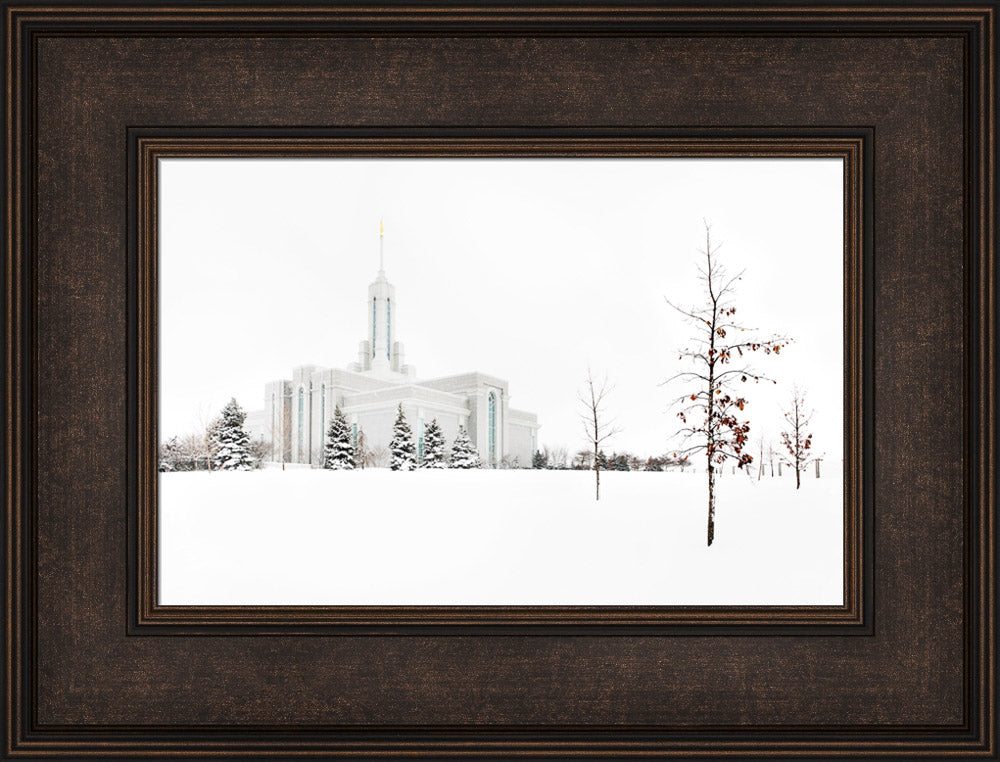 Mt Timpanogos Temple - Snow Red Leaves