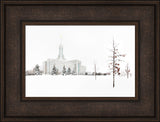 Mt Timpanogos Temple - Snow Red Leaves