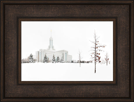 Mt Timpanogos Temple - Snow Red Leaves