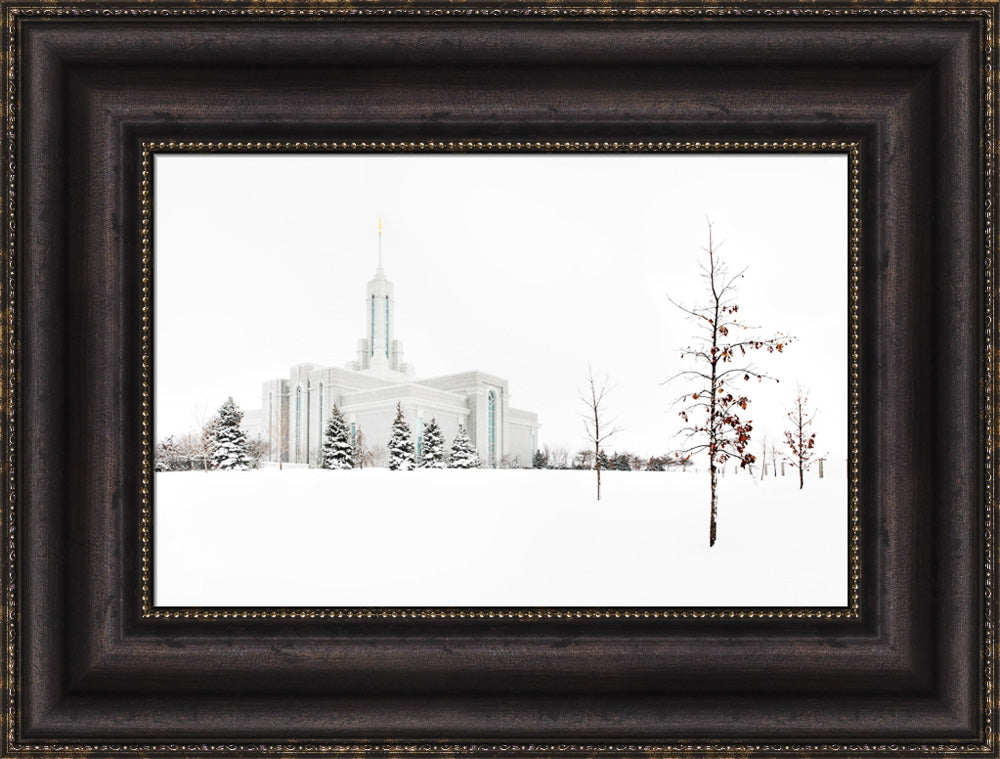 Mt Timpanogos Temple - Snow Red Leaves